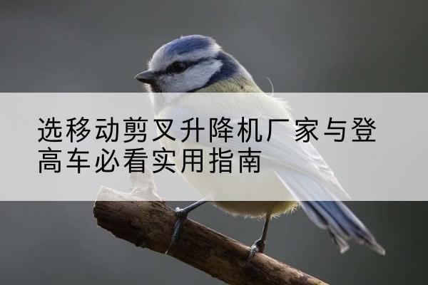 黎城电动升降机厂家-选移动剪叉升降机厂家与登高车必看实用指南