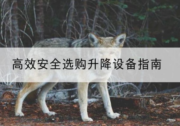 黎城升降货梯厂家推荐-*安全选购升降设备指南